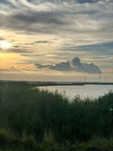 Seenlandschaft und Vogelschutzgebiet